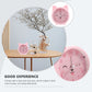 Cat Alarm Clock Analog – Cartoon, Silent, 4 Colors